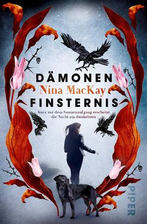 Cover Dämonenfinsternis